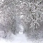 Pferdestall